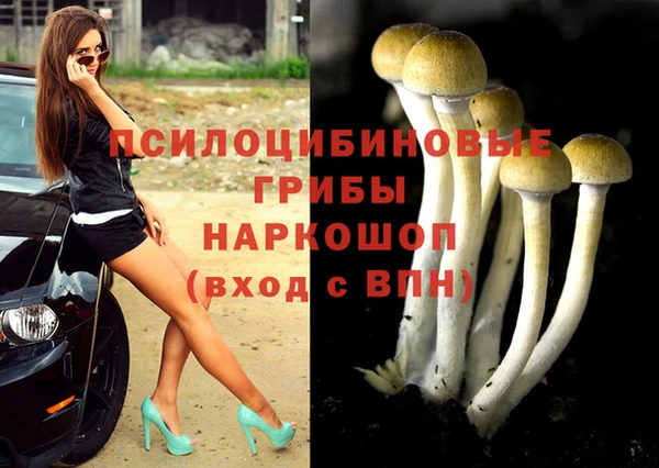кокс Алексеевка