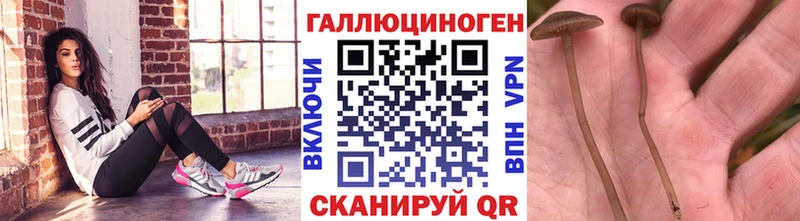 наркошоп  Ахтырский  Галлюциногенные грибы MAGIC MUSHROOMS 